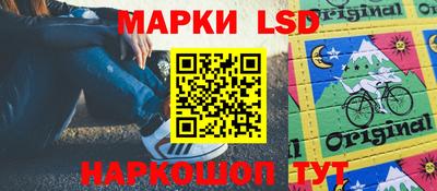 индика Железноводск