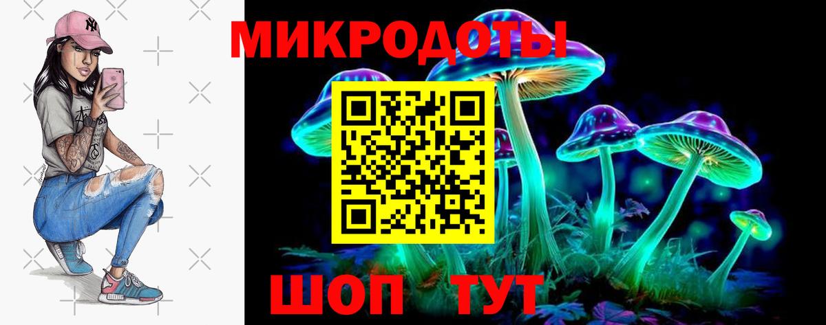 Псилоцибиновые грибы Psilocybine cubensis Луга